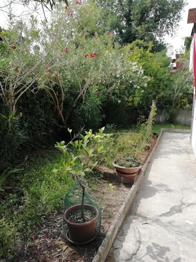 Casa Vacanze Mare Lido di Scacchi Eksteriør billede